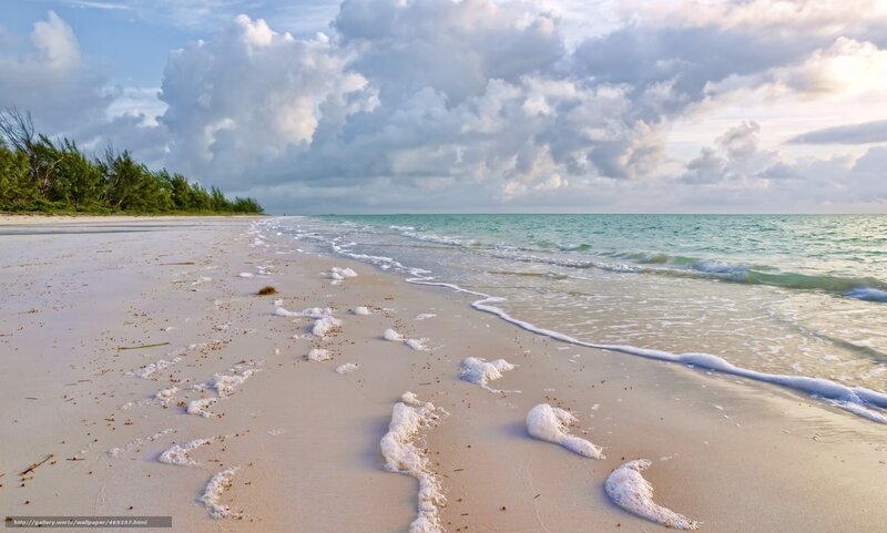 Beach with Foamy Waves — White, Serene, Afternoon