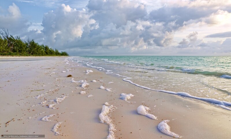 Beach with Foamy Waves — White, Serene