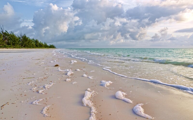 Beach with Foamy Waves — White