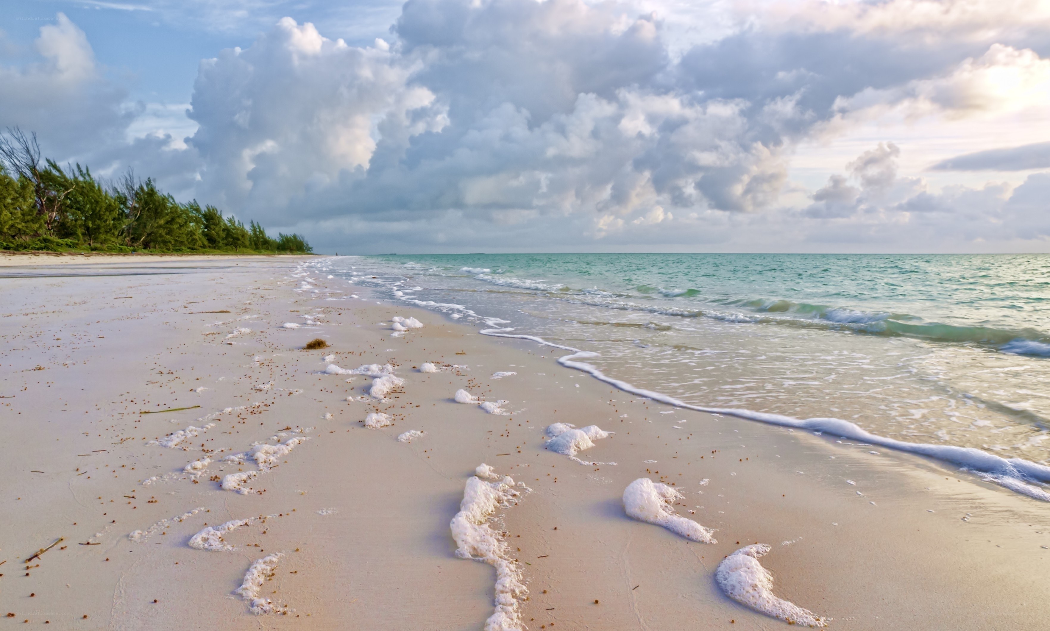 Beach with foamy waves