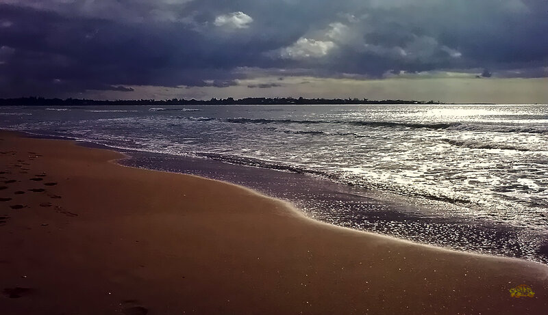 Beach with Footprints — Brown