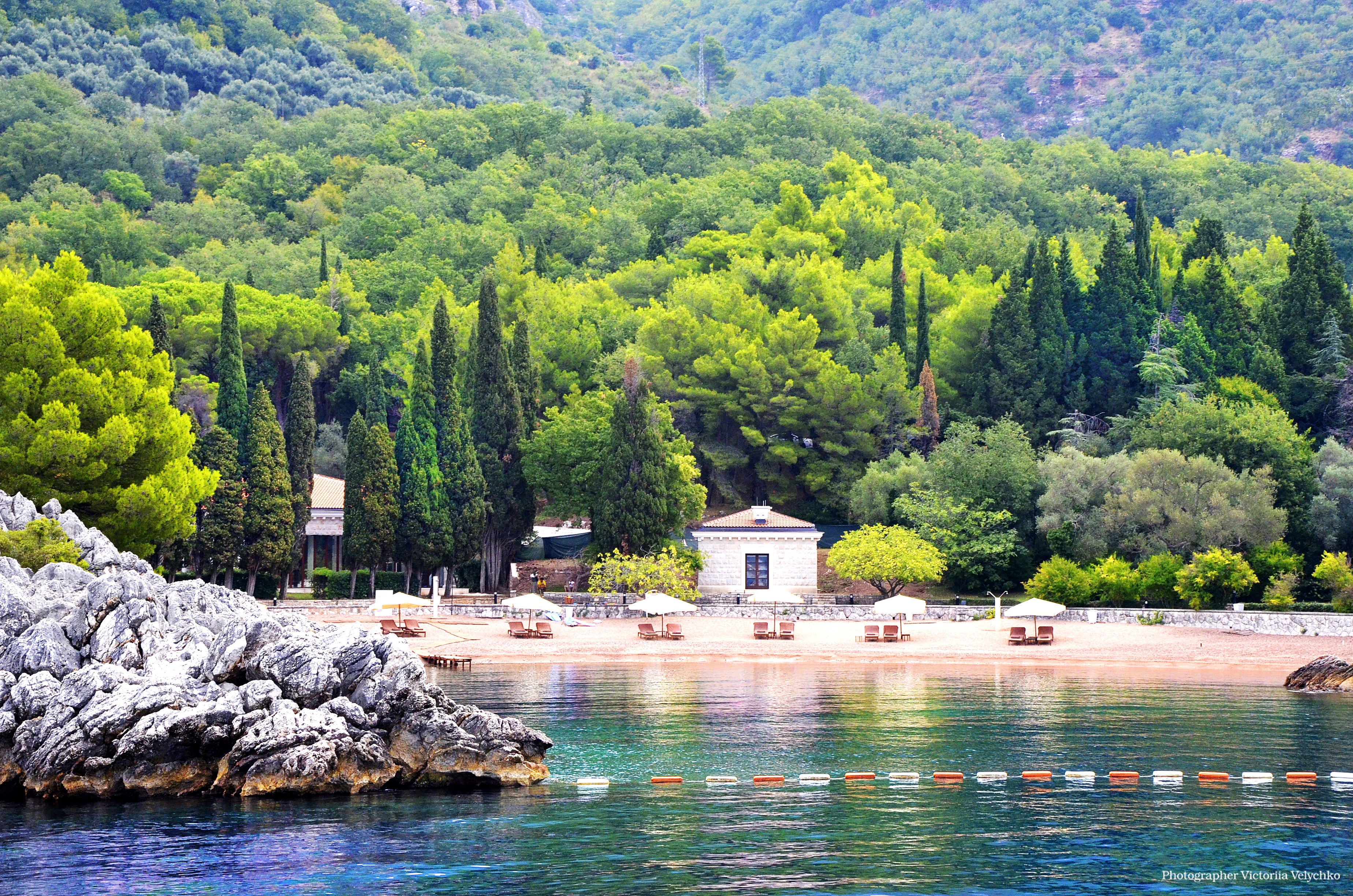 Beach with forest backdrop