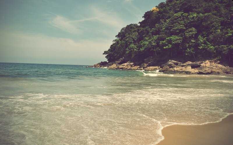 beach with forested cliff