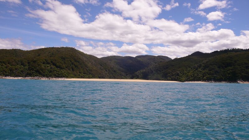 beach with forested hills