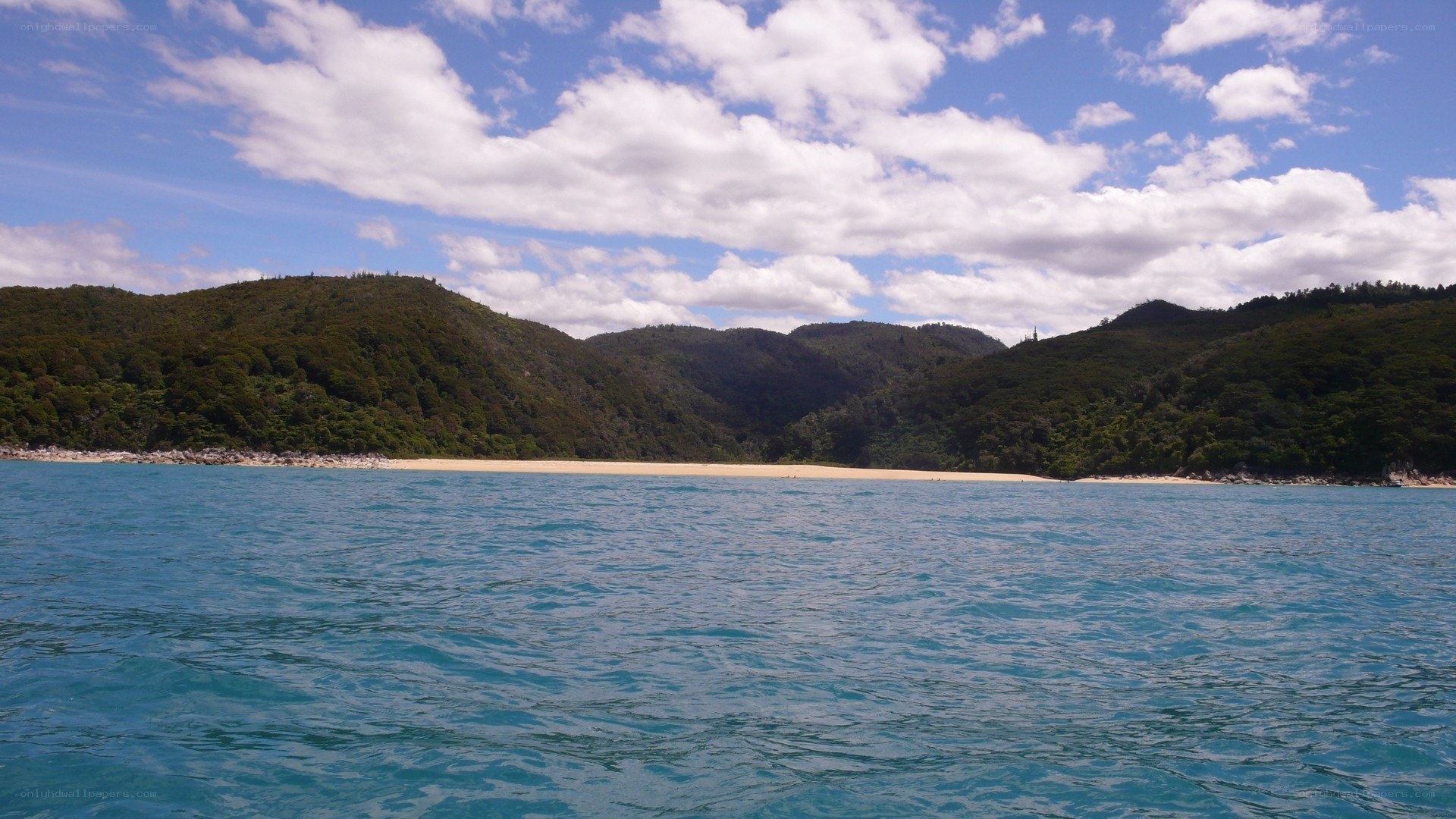 beach with forested hills