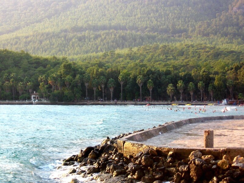 beach with forested hills