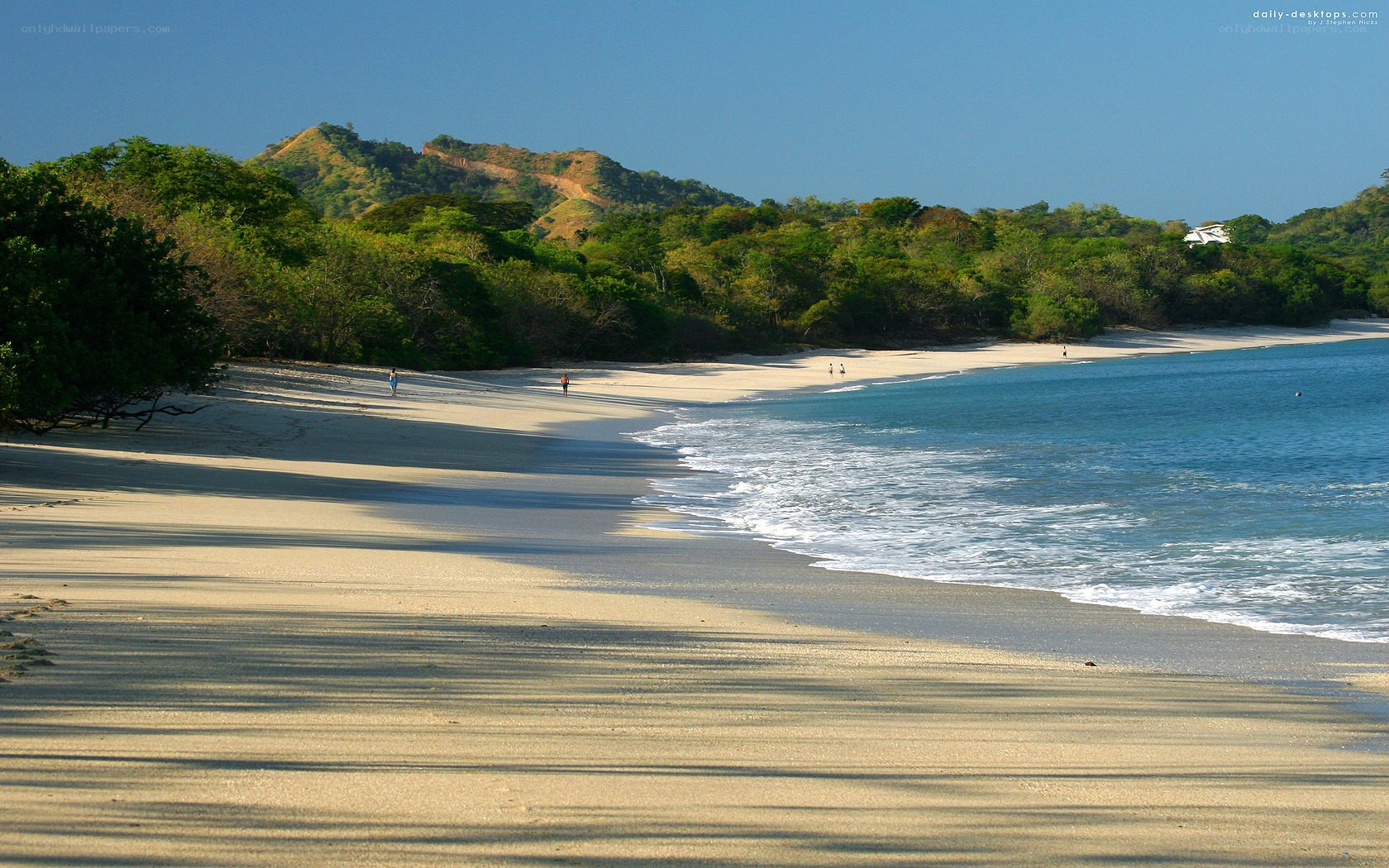 beach with forested hills