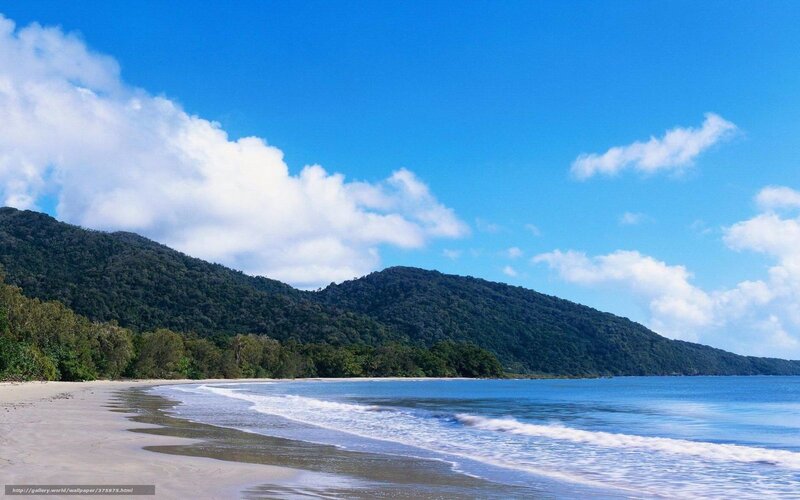 beach with forested hills