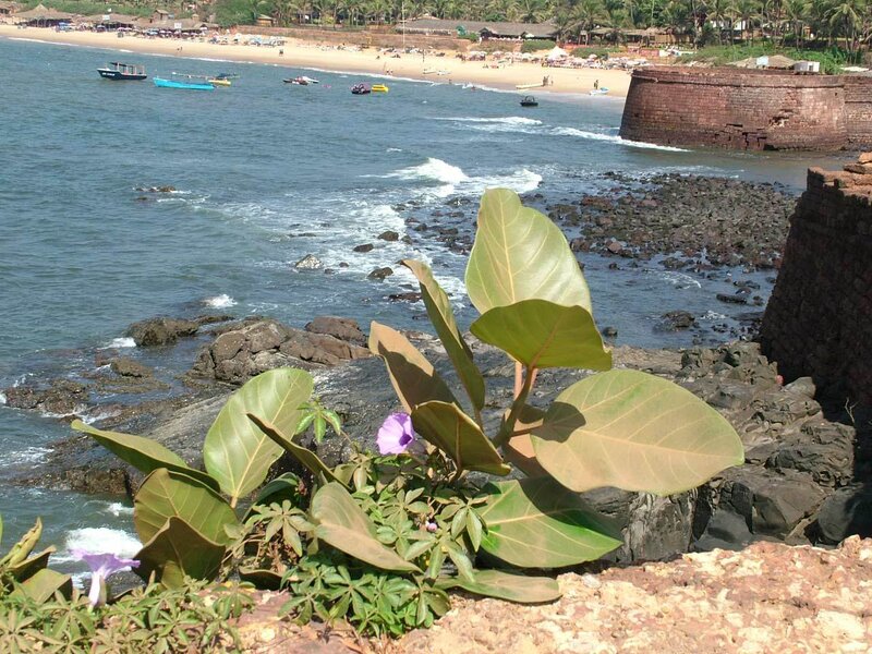 beach with fort and boats