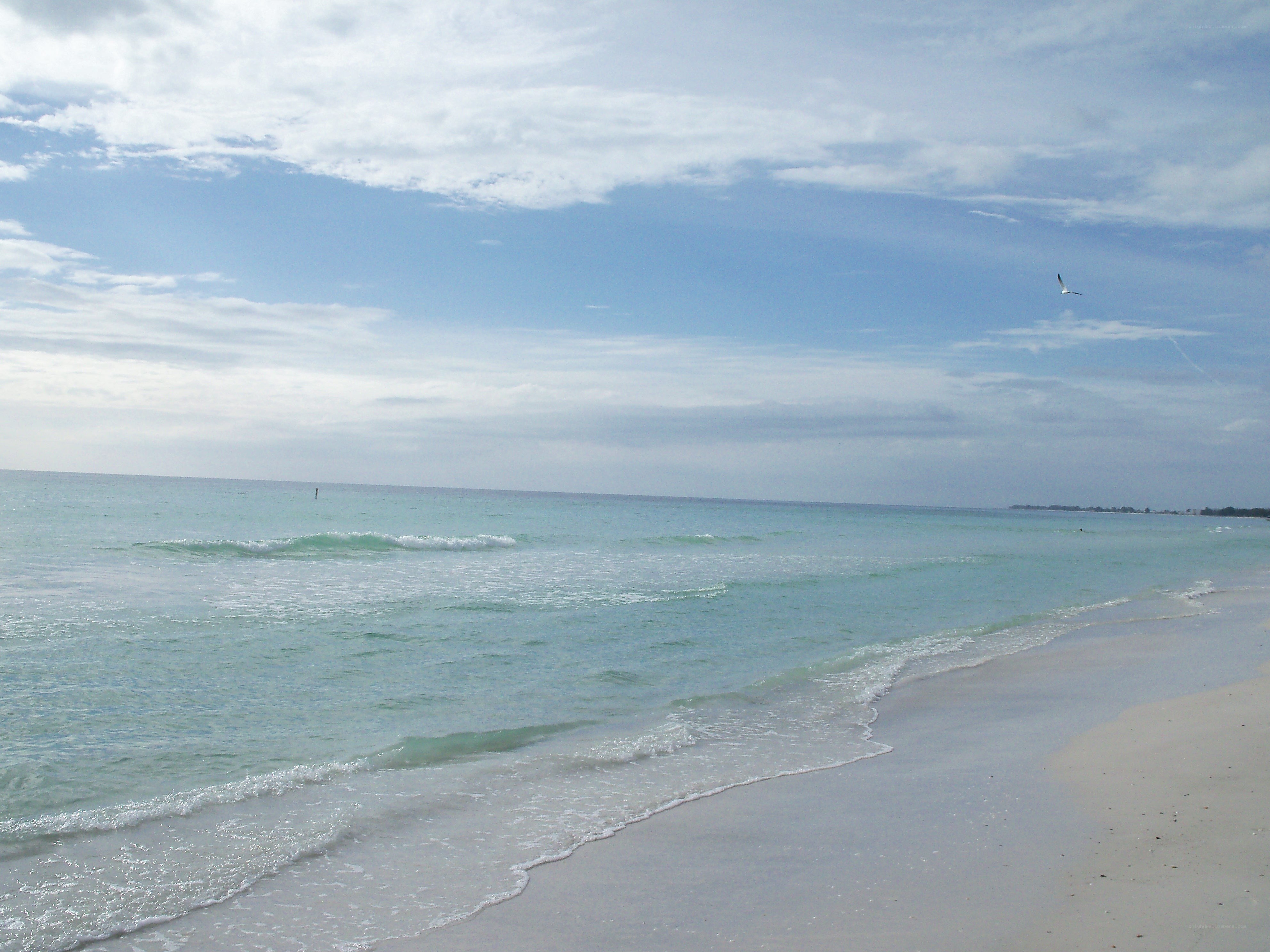beach with gentle waves