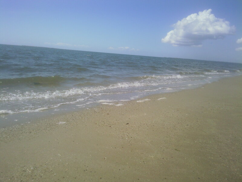 beach with gentle waves
