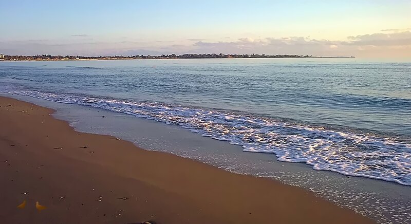 Beach with Gentle Waves — Brown, Serene