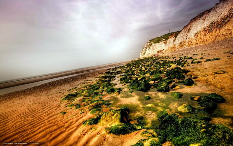 Beach with Green Algae — Dramatic, Afternoon
