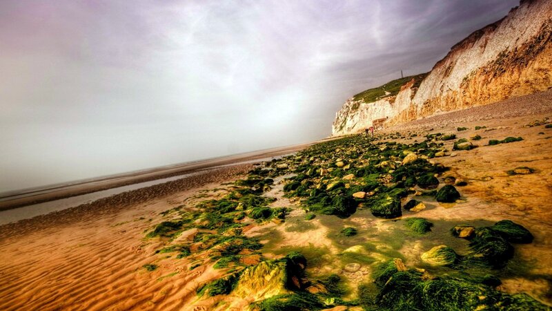 Beach with Green Algae — Dramatic, Photograph