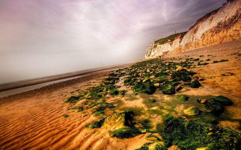 Beach with Green Algae — Dramatic