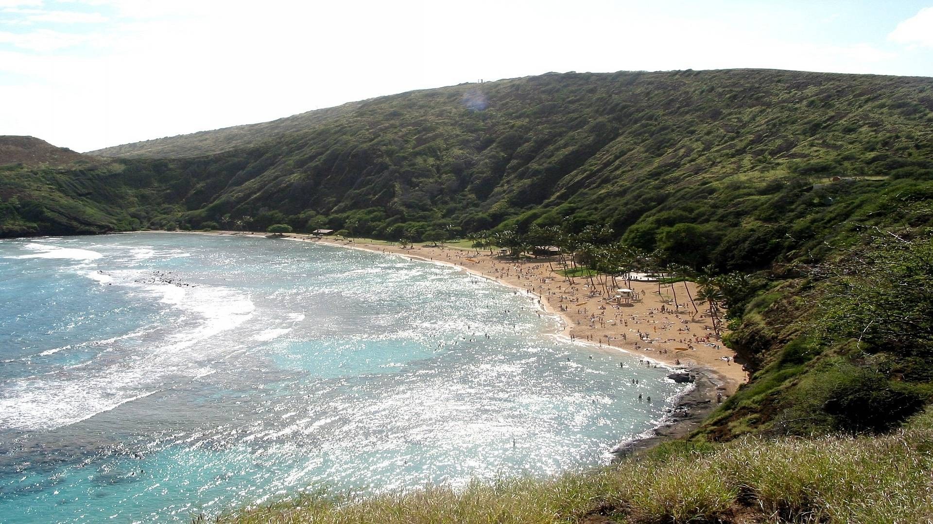 beach with green hills