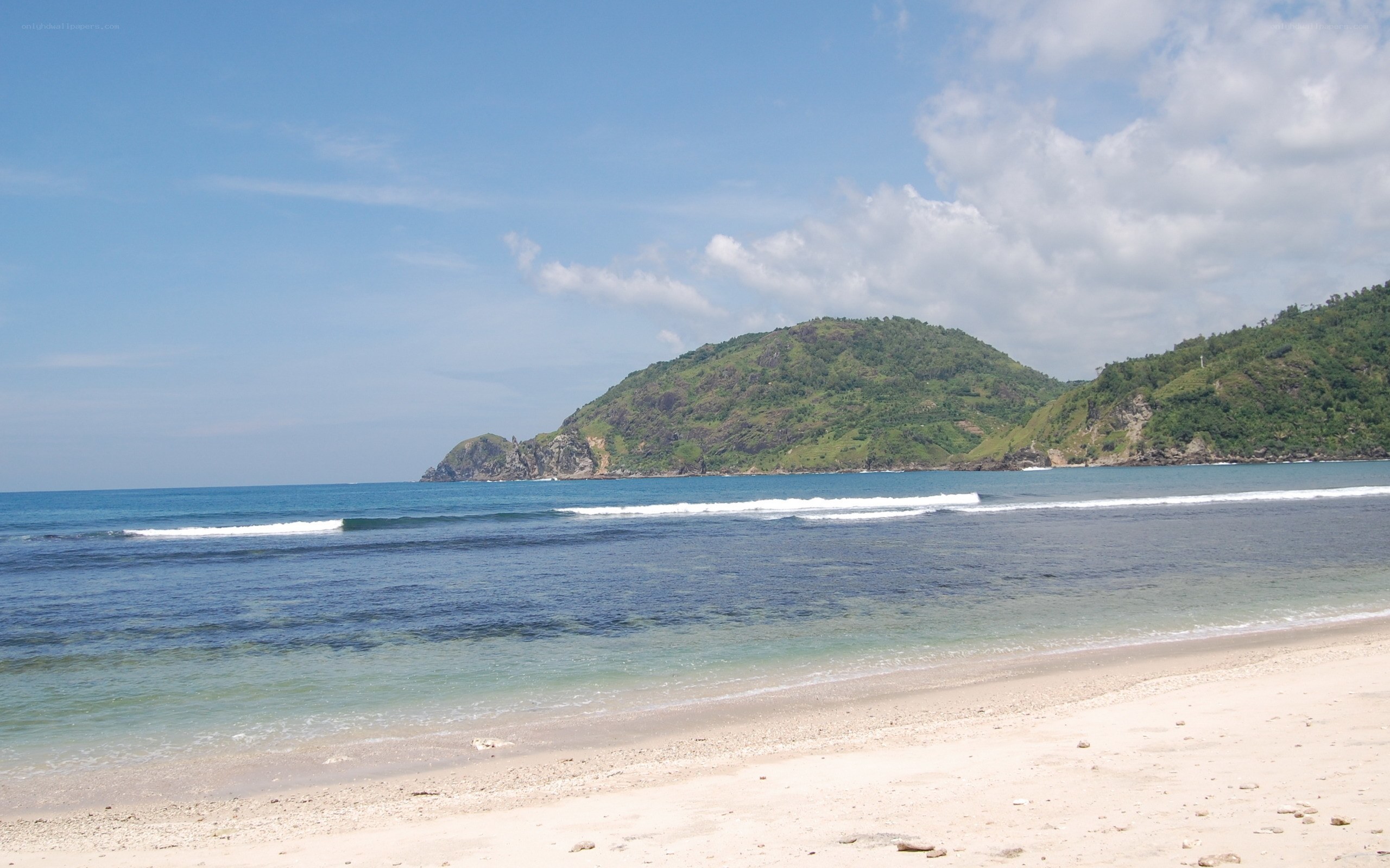 beach with green hills
