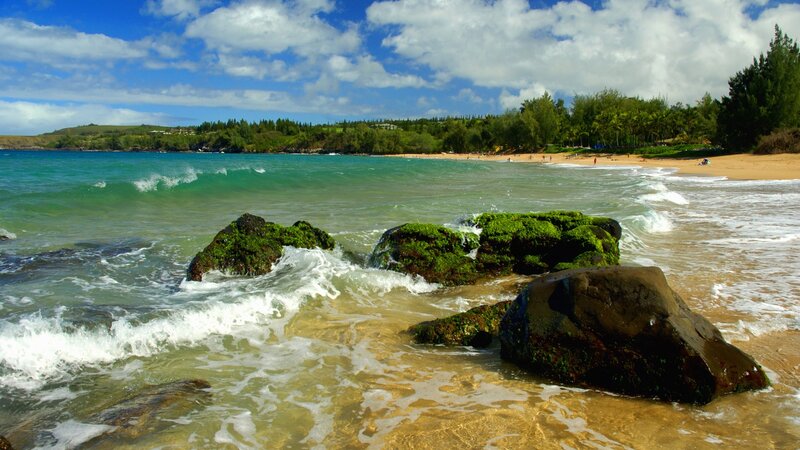 beach with green rocks
