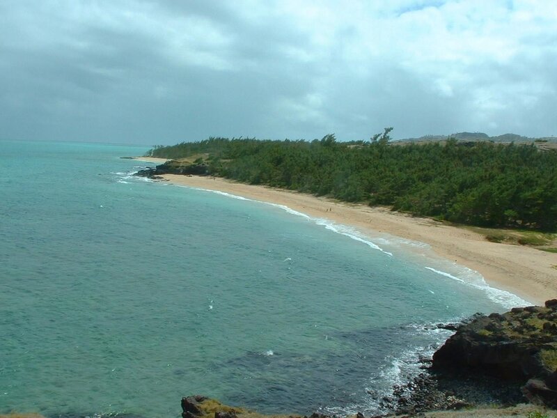 Beach with Green Trees
