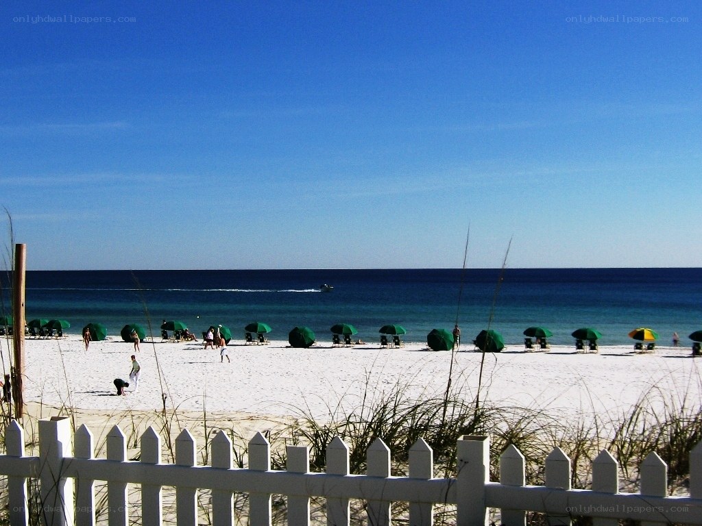 Beach with green umbrellas