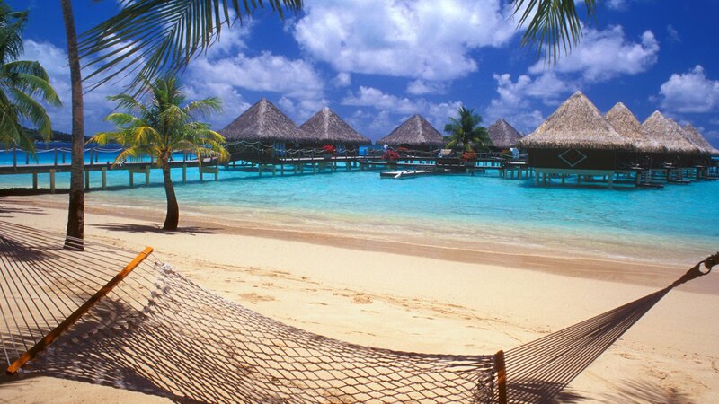 Beach with Hammock — Blue, Serene, Afternoon, Photograph