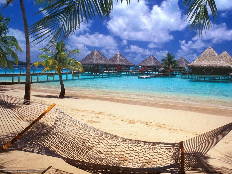 Beach with Hammock — Blue, Serene, Afternoon