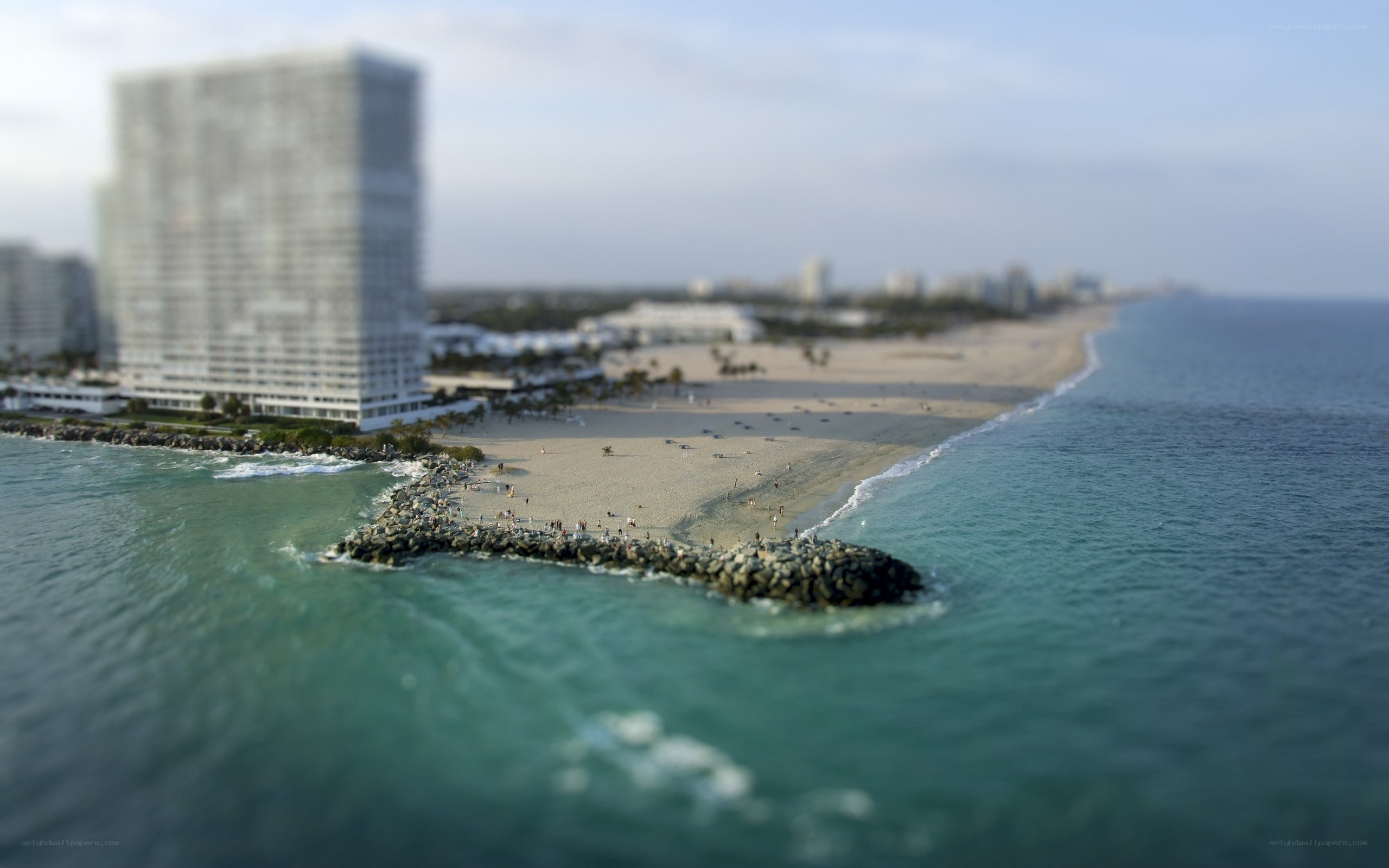 beach with high-rise buildings