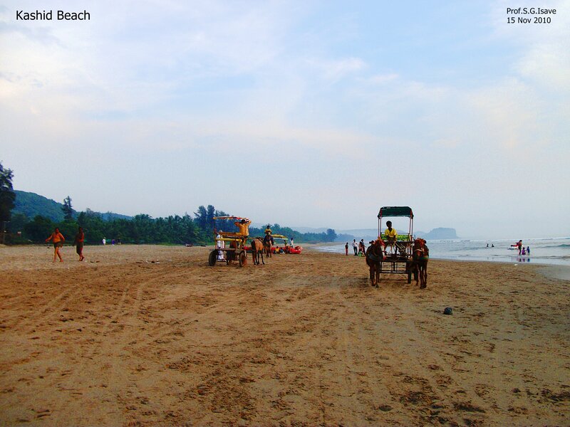 Beach with Horse Carts