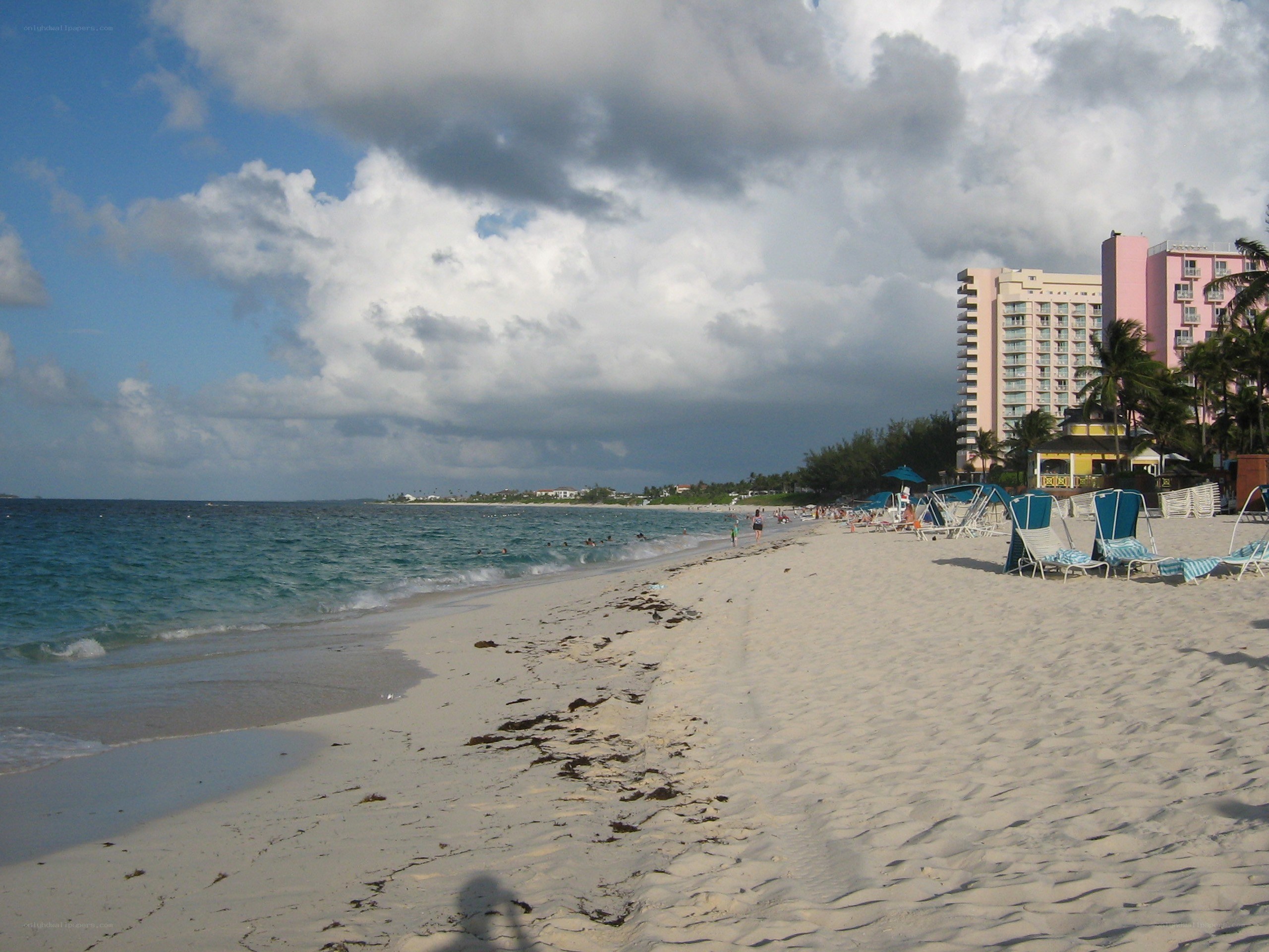 beach with hotel and palm trees