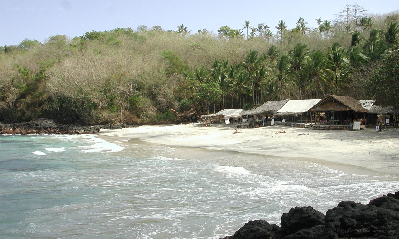 beach with huts and palm trees