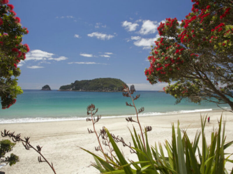 Beach with Island View