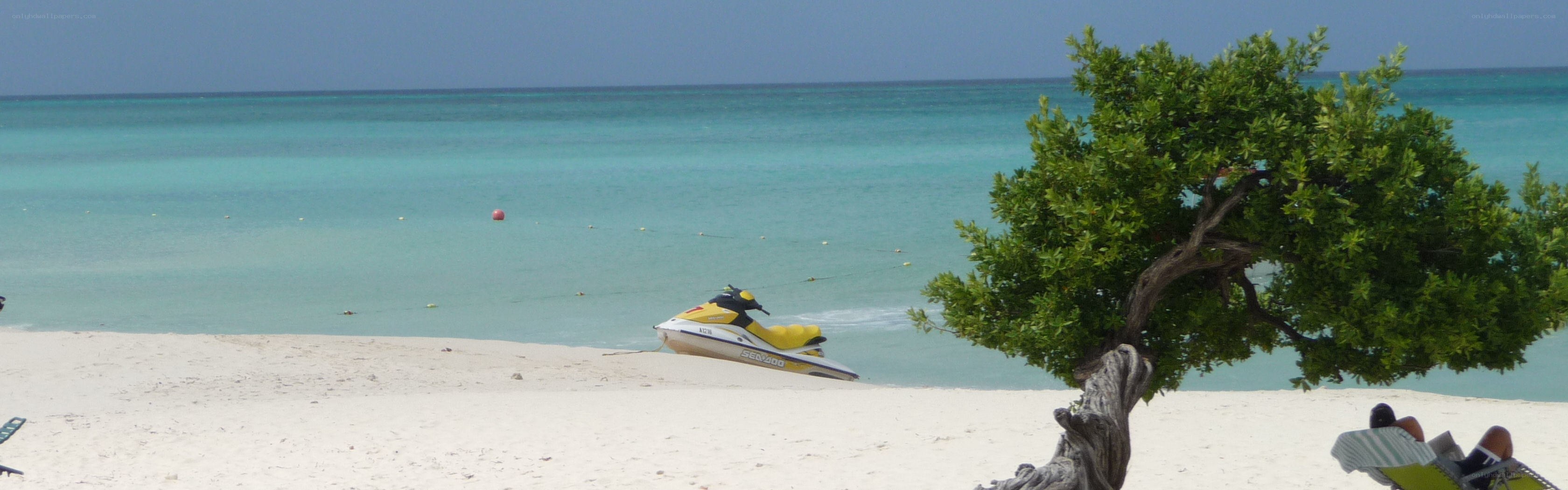 Beach with jet ski and tree