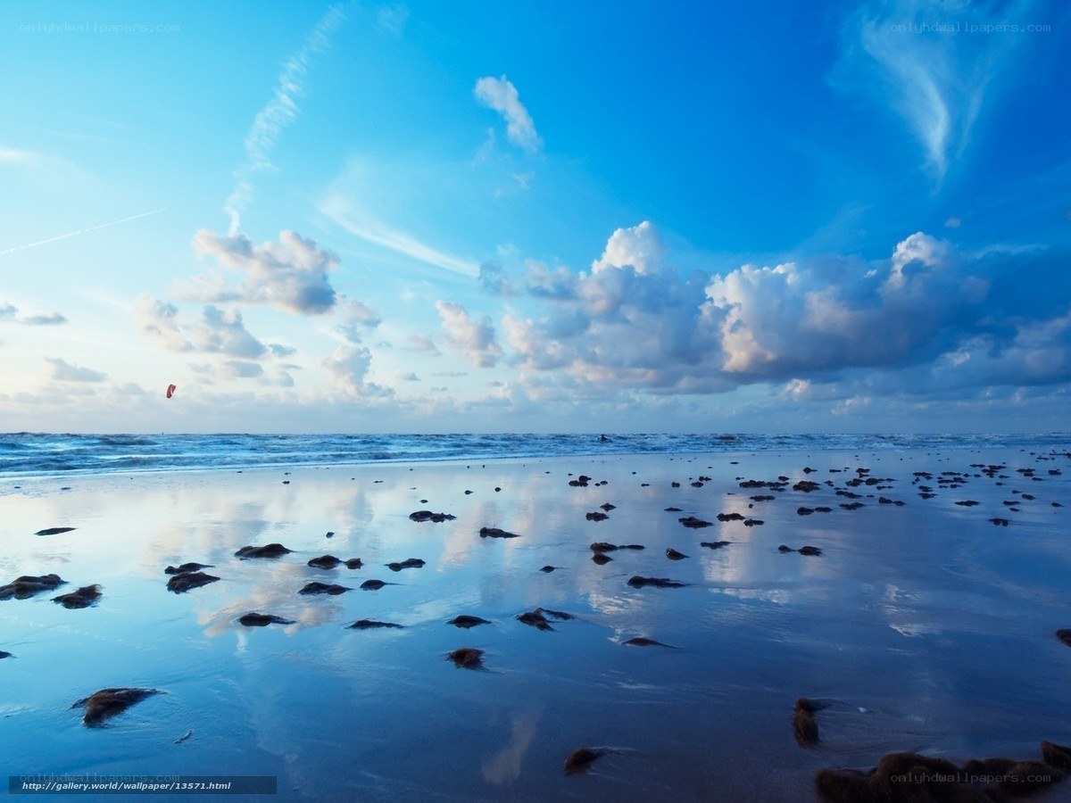 Beach with kitesurfing