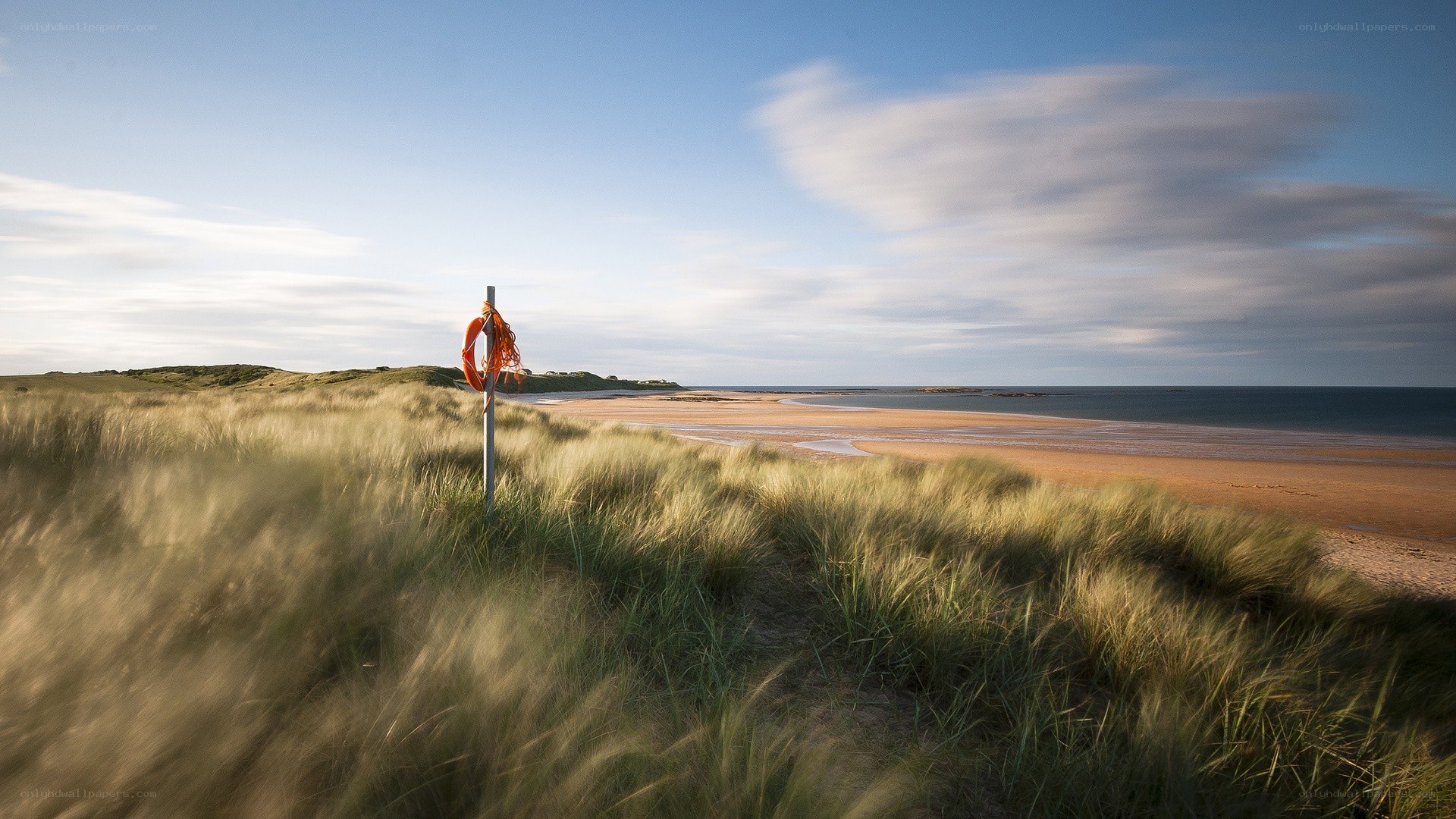 beach with lifebuoy on dune