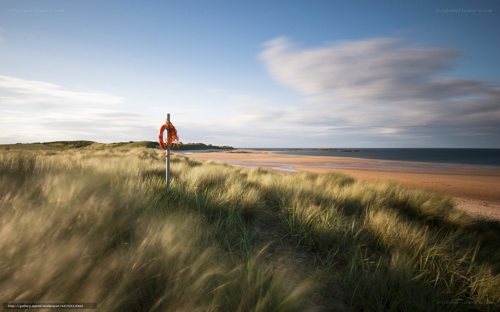 Beach with lifebuoy on dune