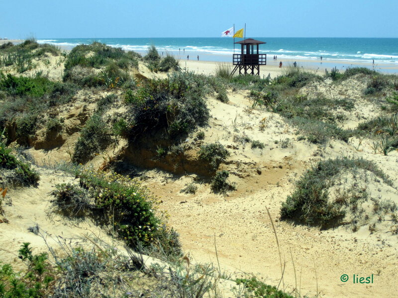 Beach with Lifeguard Tower — Blue