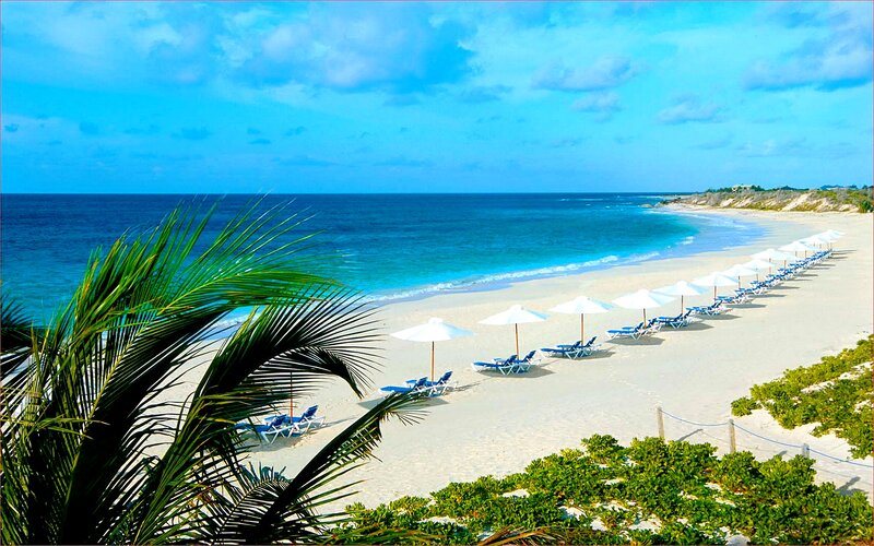 Beach with Lounge Chairs — Blue, Serene, Afternoon, Photograph, Palm Tree, Umbrellas
