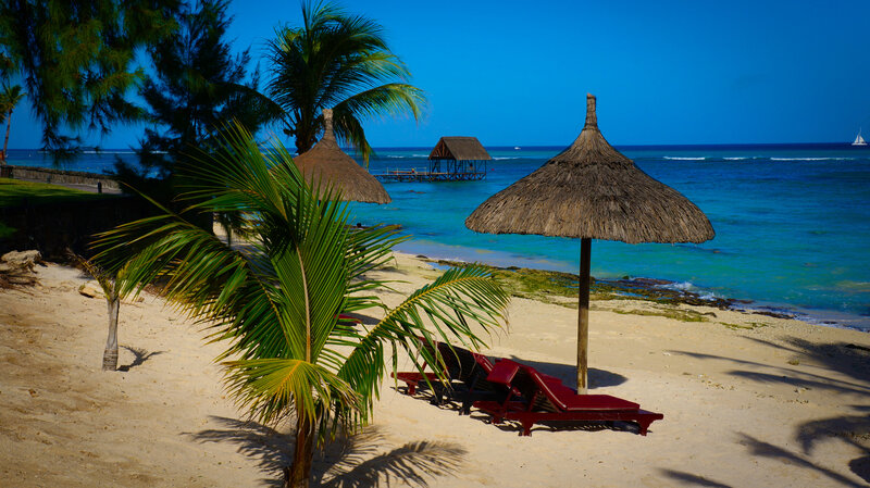 Beach with Lounge Chairs — Blue, Serene, Afternoon, Photograph, Palm Trees