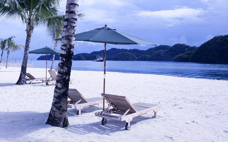 Beach with Lounge Chairs — White, Serene, Afternoon, Photograph, Palm Trees