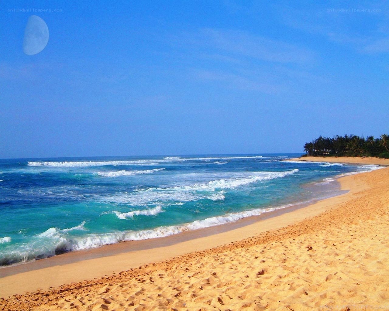 Beach with moon in sky