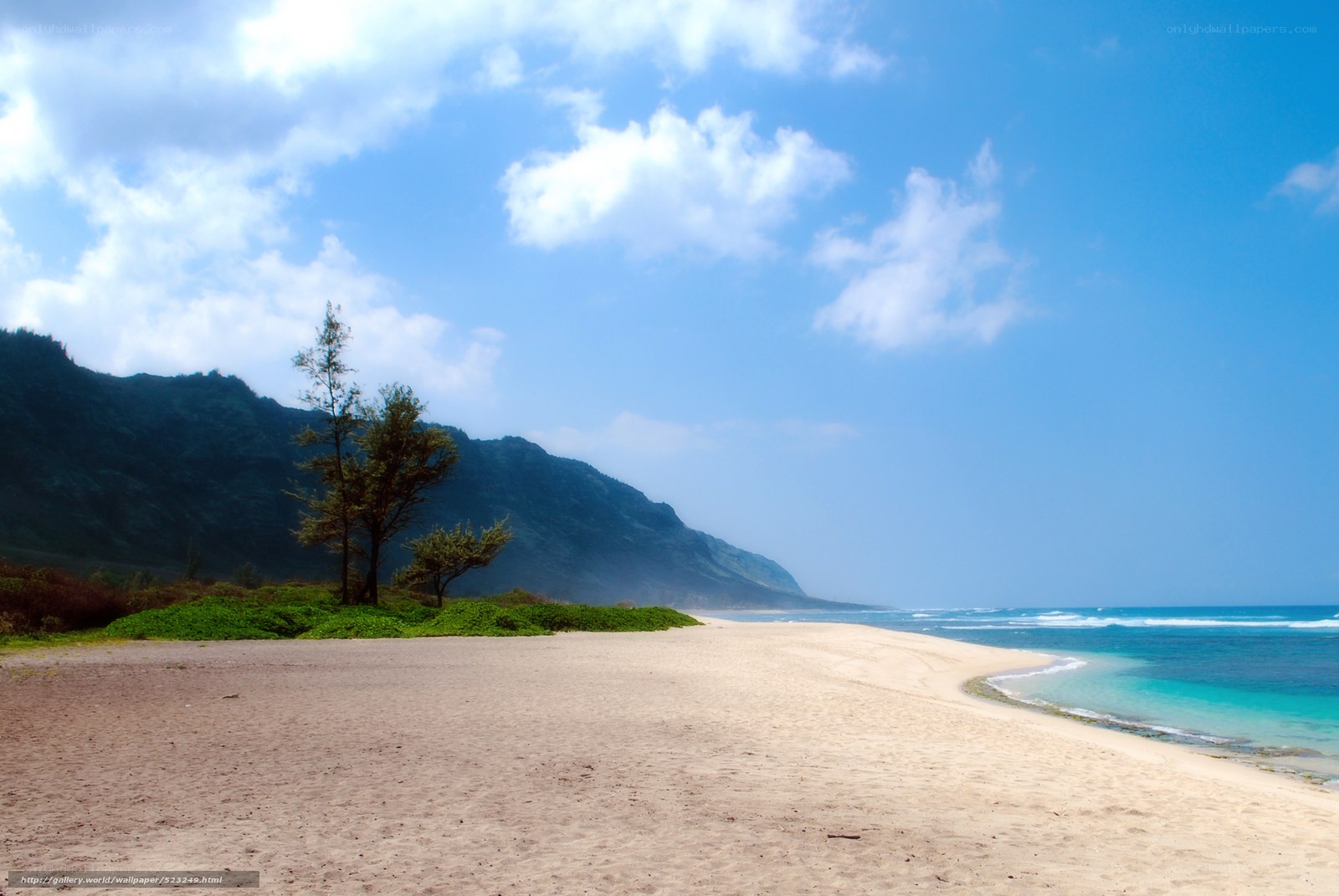 Beach with mountains and ocean