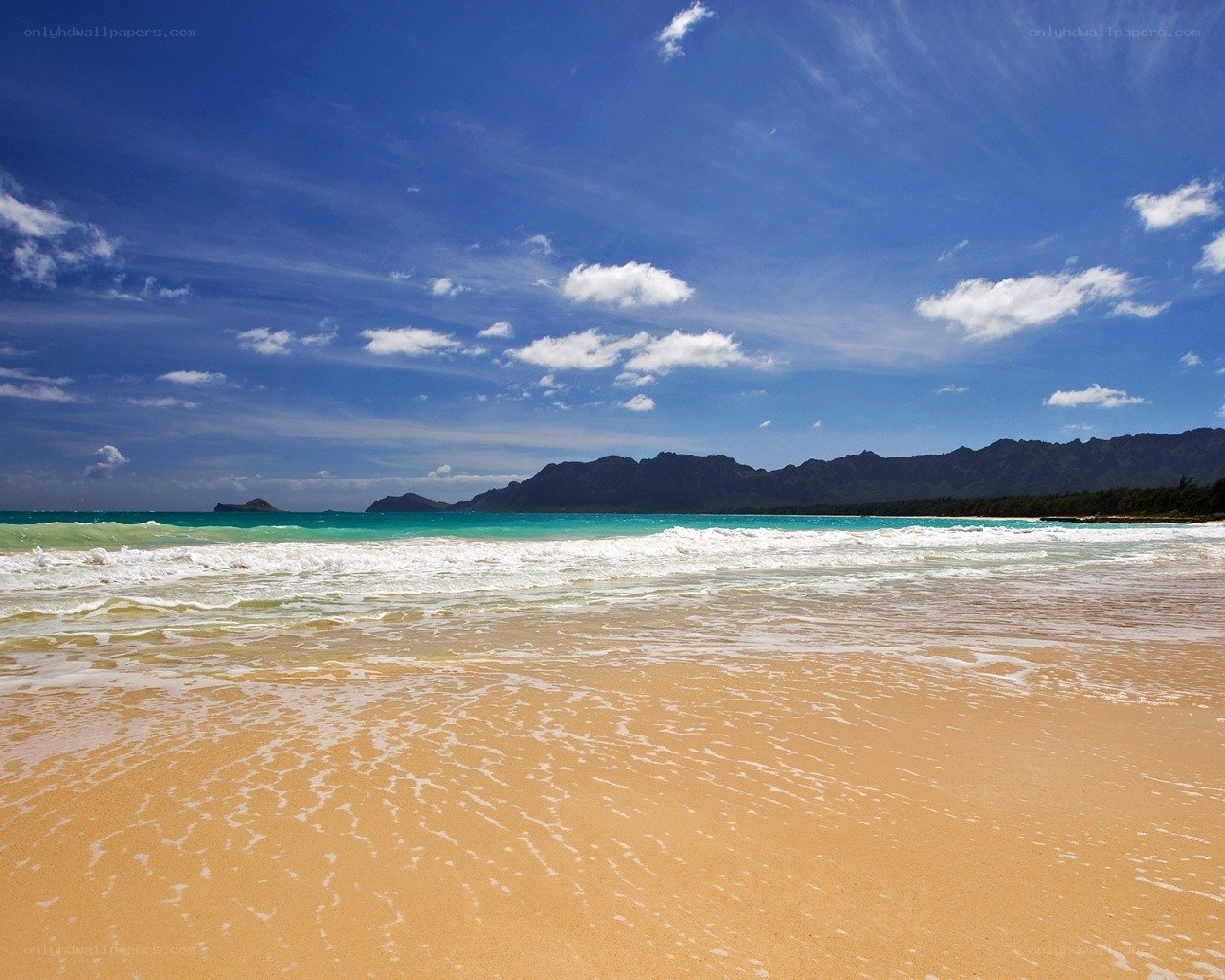 Beach with mountains in background