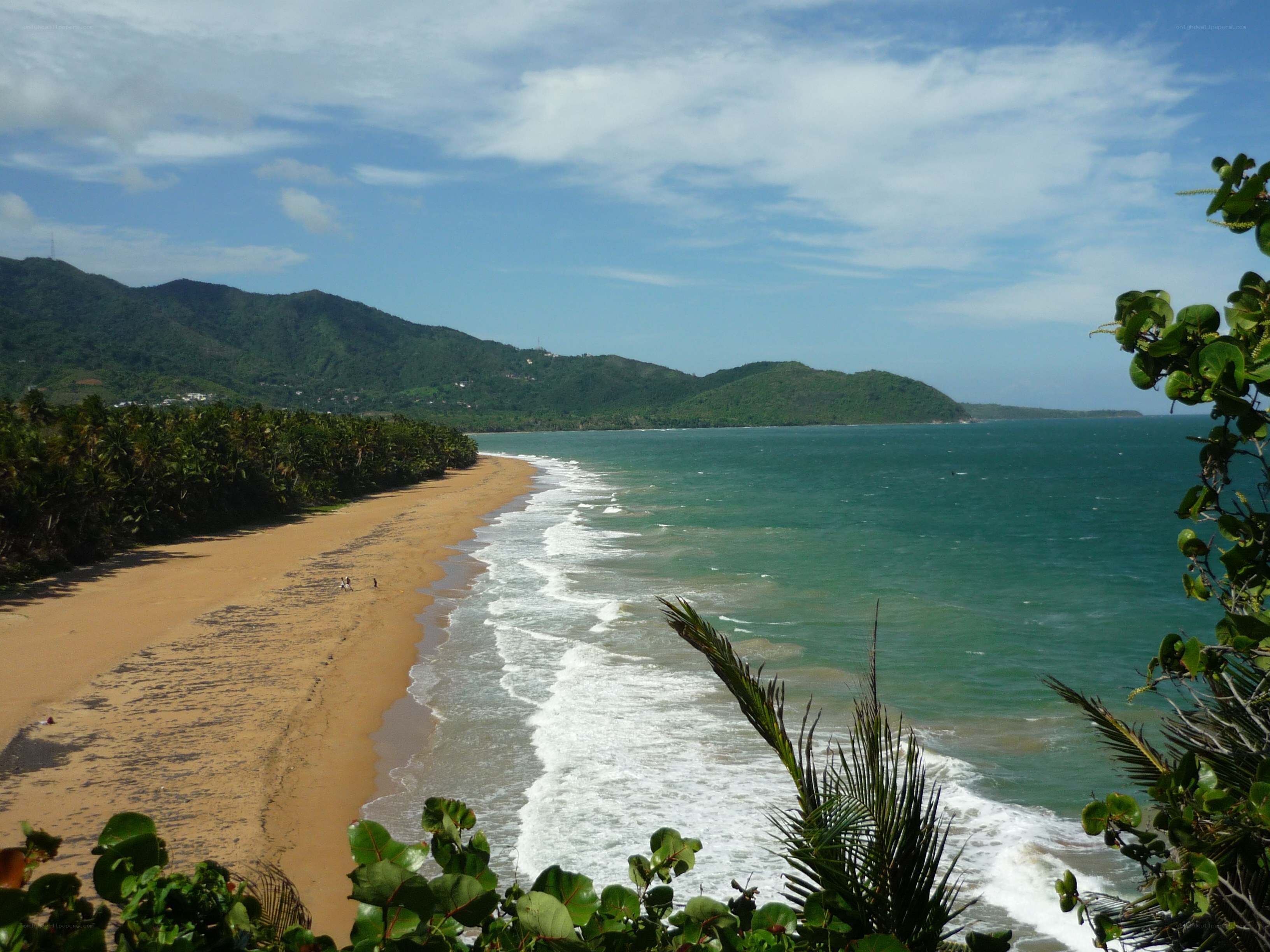 beach with mountains in background