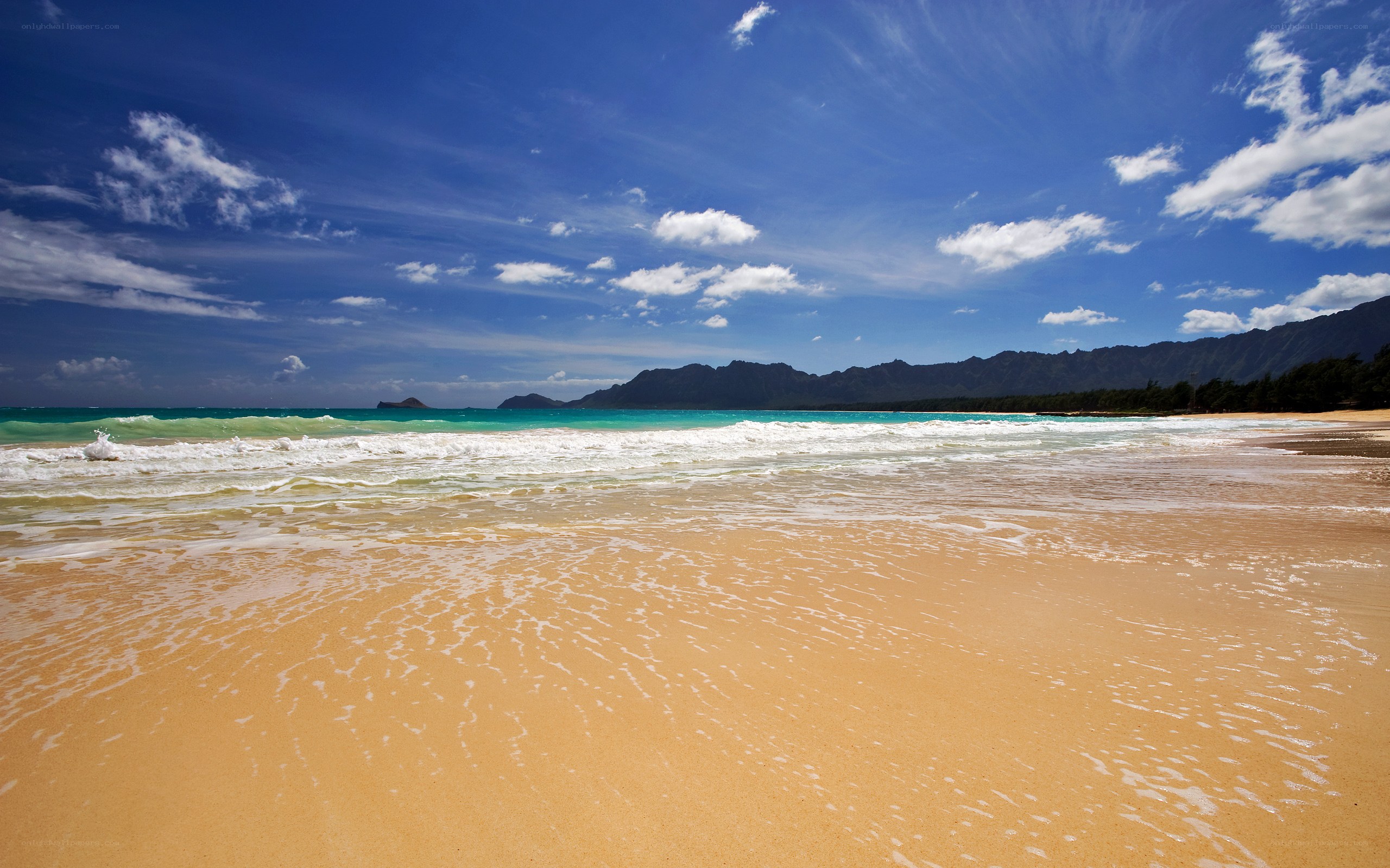 Beach with mountains in background