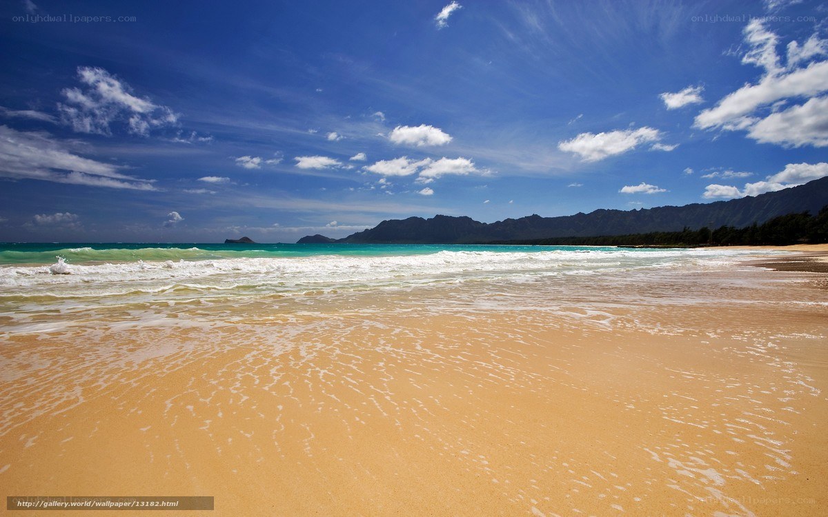 Beach with mountains in background