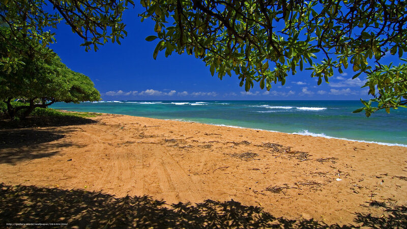 Beach with Ocean View — Blue, Serene, Afternoon