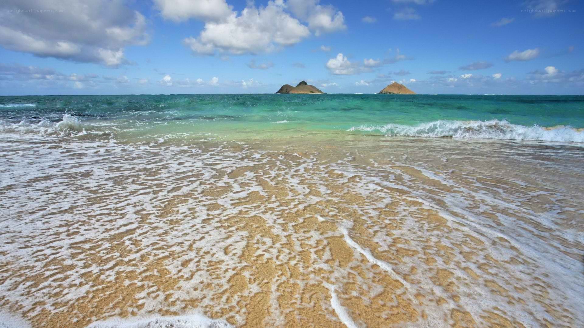 beach with ocean waves