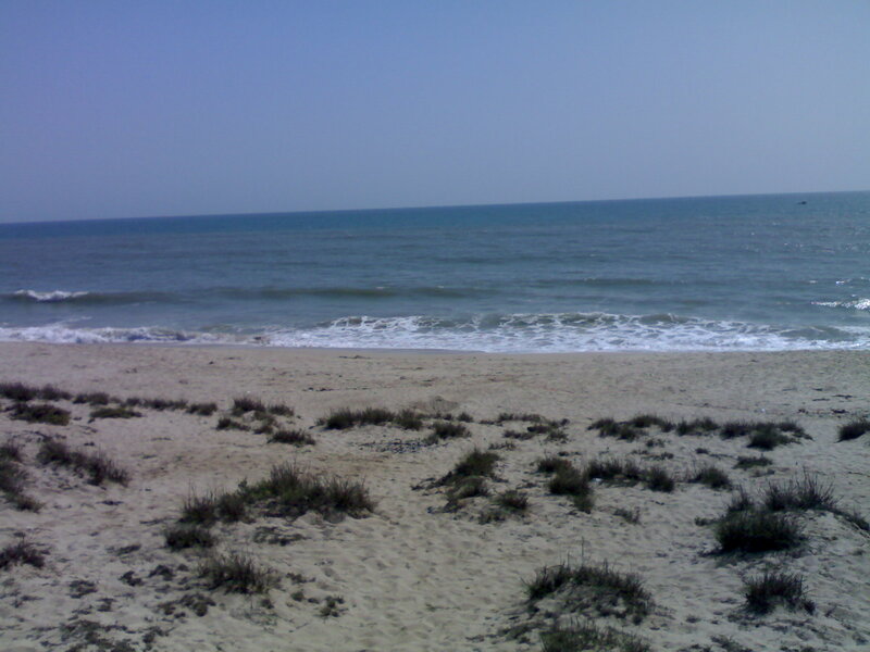 Beach with Ocean Waves — Blue, Calm, Afternoon