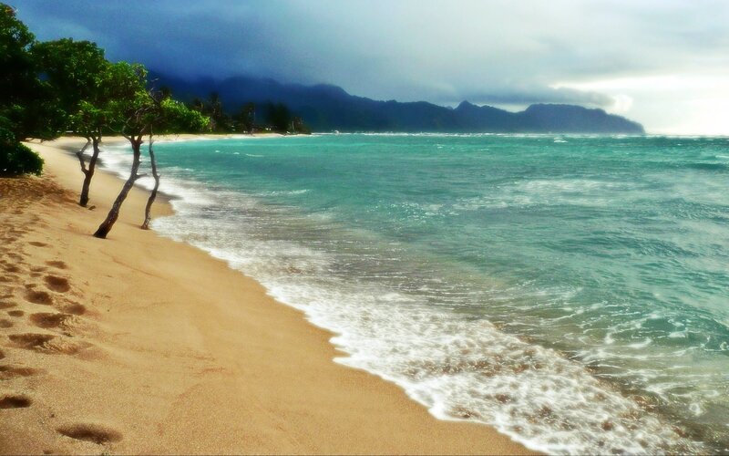 Beach with Ocean Waves — Blue, Dramatic, Afternoon, Photograph, Trees