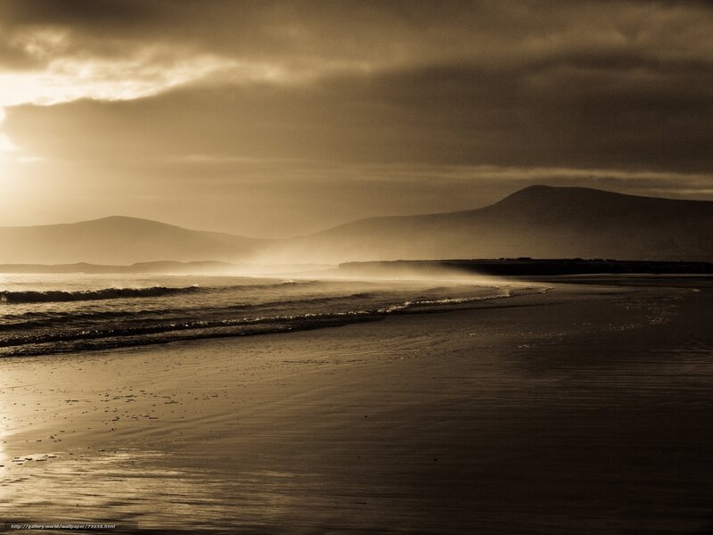 Beach with Ocean Waves — Brown, Dramatic